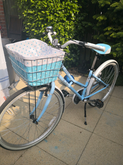 little pendleton bike